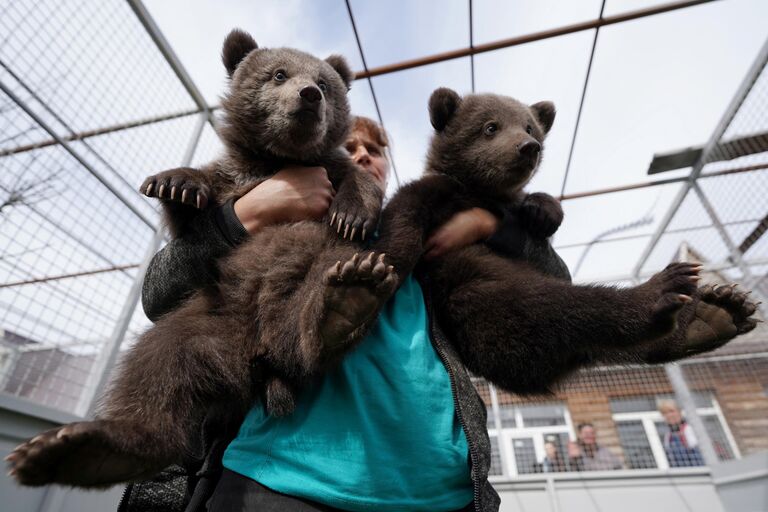 Милота зашкаливает: лучшие фото уникальных детенышей в зоопарках России