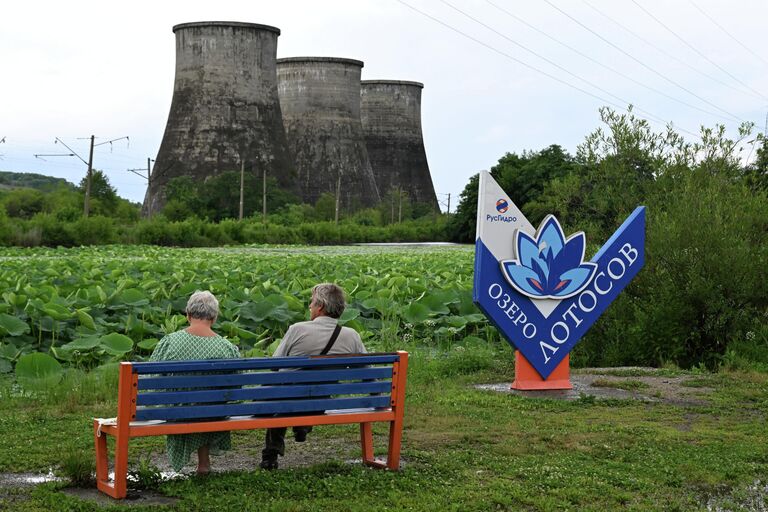 Цветение лотоса: где увидеть в России и почему эти цветы боготворят в Азии
