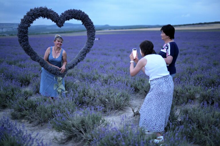 Места для самых лучших фотографий. В Крыму цветут лавандовые поля