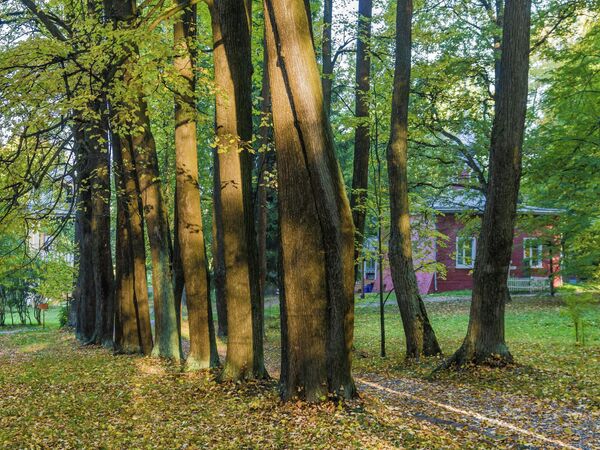 Красивые усадьбы Подмосковья. В какие имения ехать осенью
