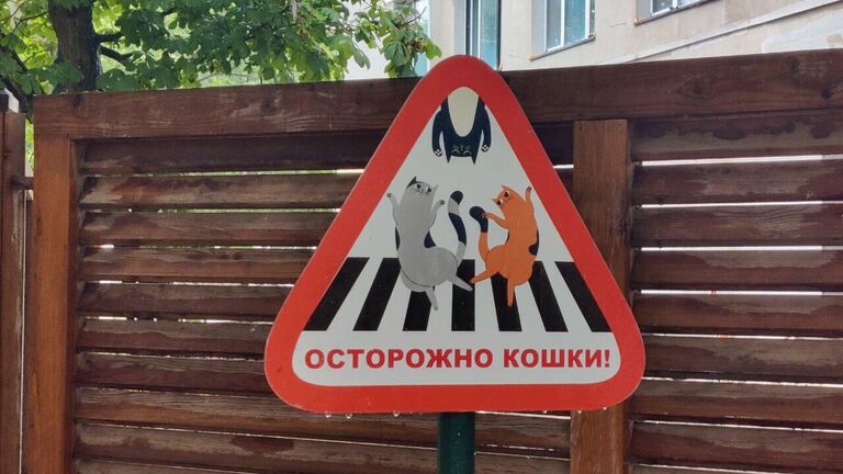 Необычное путешествие в Калининград: сколько стоит осенний отдых на Балтике