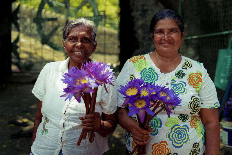 Сильный конкурент Таиланда. На курорты Шри-Ланки открыли новые прямые рейсы