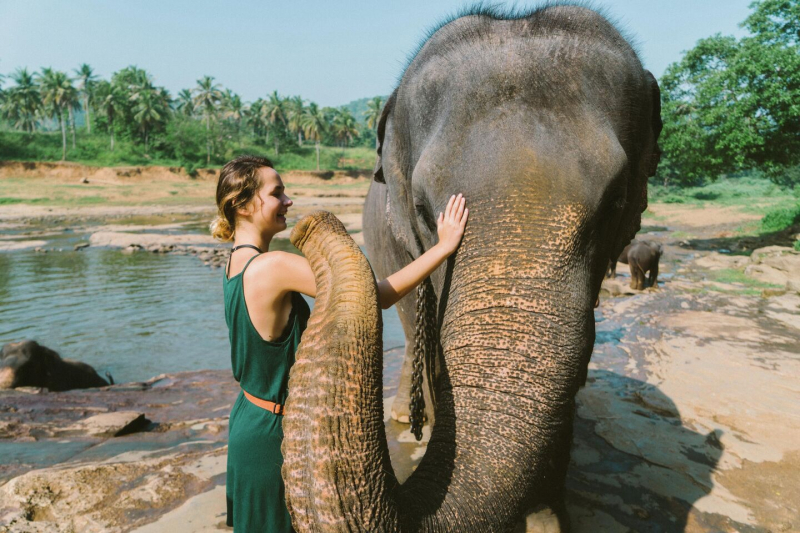 Сильный конкурент Таиланда. На курорты Шри-Ланки открыли новые прямые рейсы