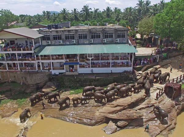 Сильный конкурент Таиланда. На курорты Шри-Ланки открыли новые прямые рейсы