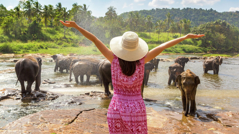 Туристам в Таиланде рекомендовали одеваться скромнее на время траура