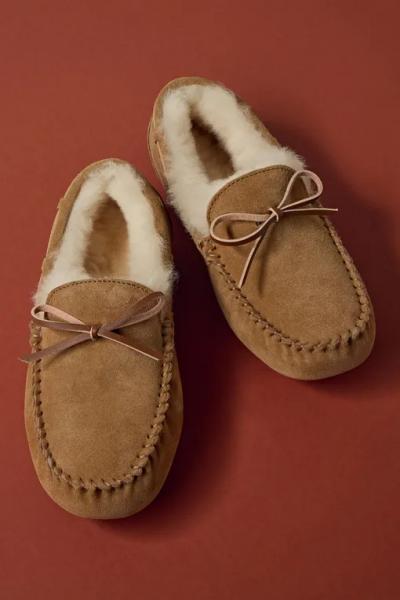 5 минут до зимы: модный дайджест с трендовыми находками, идеями для образов и новостями брендов