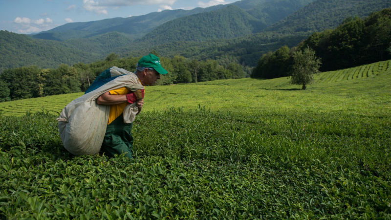 Аналитики рассказали, в каких странах хотели бы зимовать россияне
