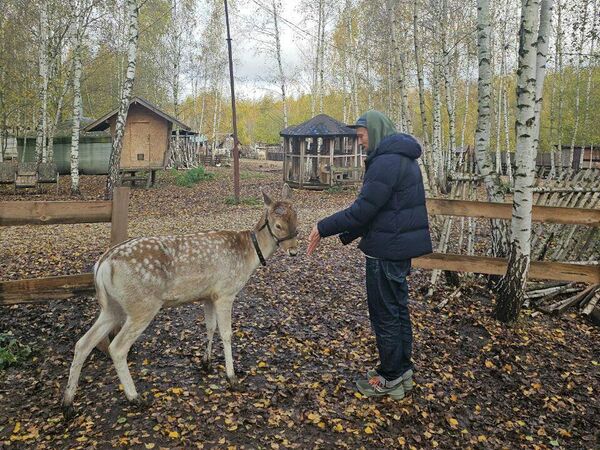 Идеальные выходные в Кашире — для тех, кому наскучили привычные маршруты