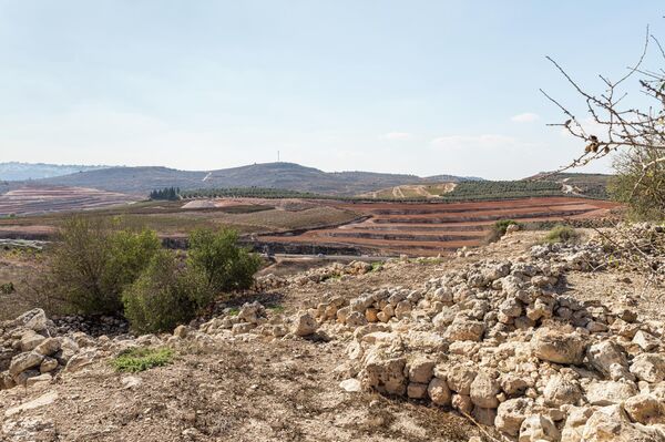 Израиль вновь открыт: прямые рейсы, русский язык и много интересного