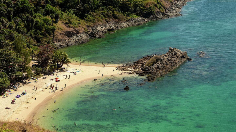 "Кошмарят россиян". СМИ сообщили об атаках ядовитых существ на туристов