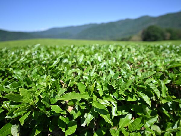 Куда поехать на праздники: города, в которых обязательно стоит побывать