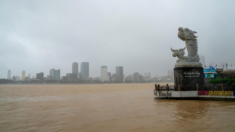 Нападение агрессивной рыбы на россиянина попало на видео