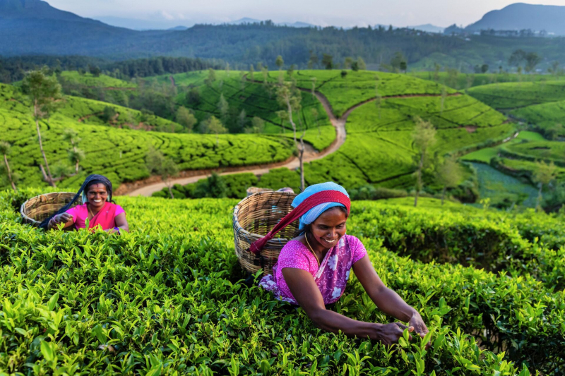 Необычный Новый год: советы от лучших турагентов России