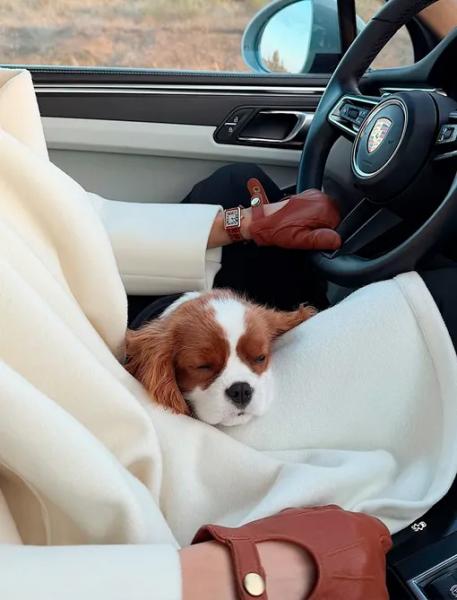 Перчатки – мини, впечатление – макси: как носить этот трендовый аксессуар