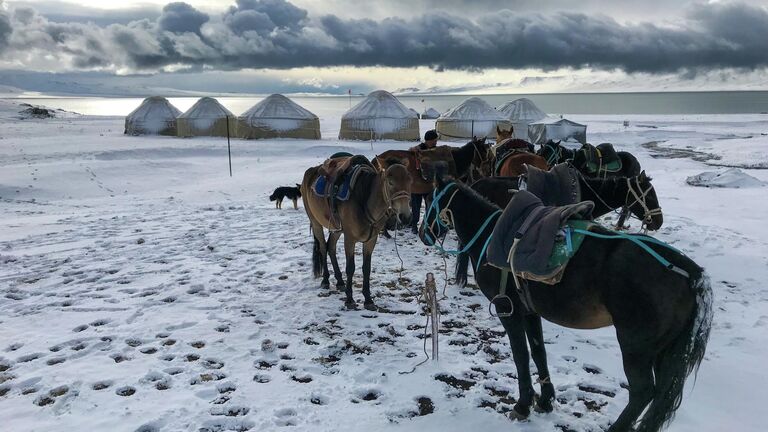 Границы открыты: куда поехать на Новый год без загранпаспорта