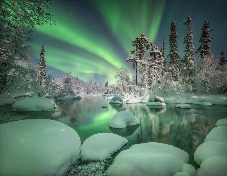 Красота стихии: самые необычные кадры дикой природы России