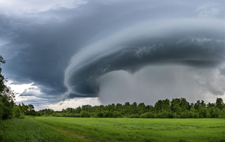 Красота стихии: самые необычные кадры дикой природы России