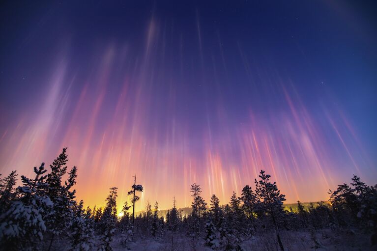 Красота стихии: самые необычные кадры дикой природы России