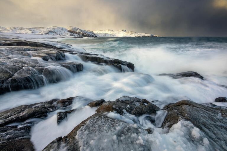 Красота стихии: самые необычные кадры дикой природы России