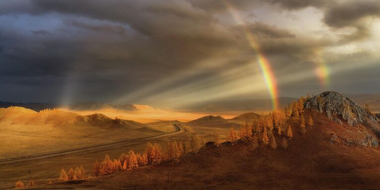 Красота стихии: самые необычные кадры дикой природы России