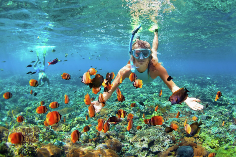 На море в декабре: где отдохнуть за 88 тысяч рублей на двоих