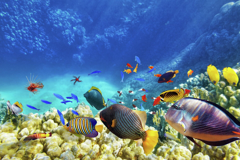 На море в декабре: где отдохнуть за 88 тысяч рублей на двоих