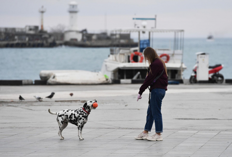 Новый год в Крыму: близко, тепло, красиво и недорого