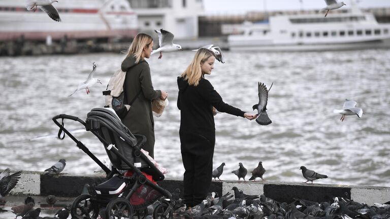 Новый год в Крыму: близко, тепло, красиво и недорого