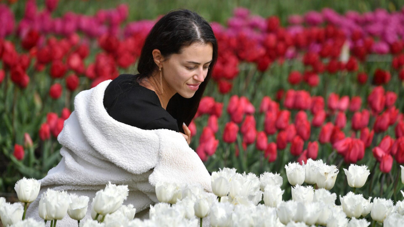 Туроператоры рассказали о рекордном росте числа поездок в Крым