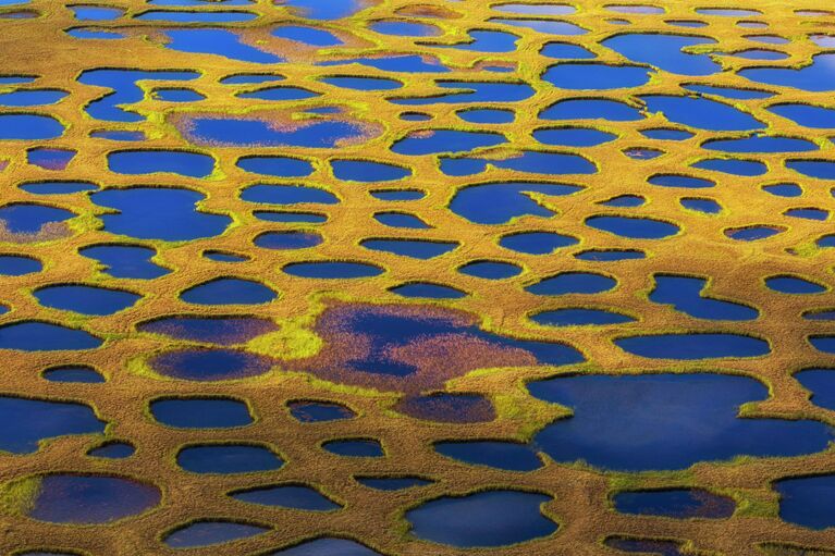 Фотографии, от которых захватывает дух. Необычные кадры природы России