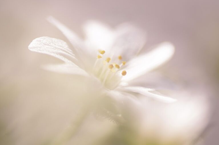 Фотографии, от которых захватывает дух. Необычные кадры природы России