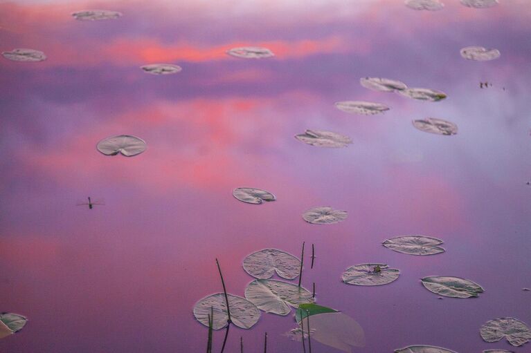 Фотографии, от которых захватывает дух. Необычные кадры природы России