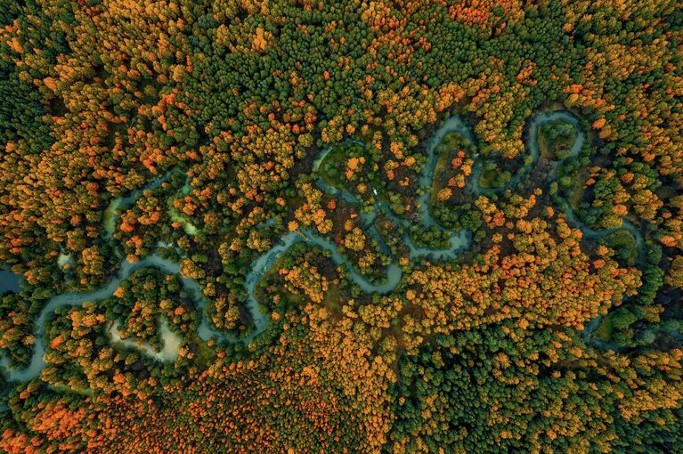 Фотографии, от которых захватывает дух. Необычные кадры природы России