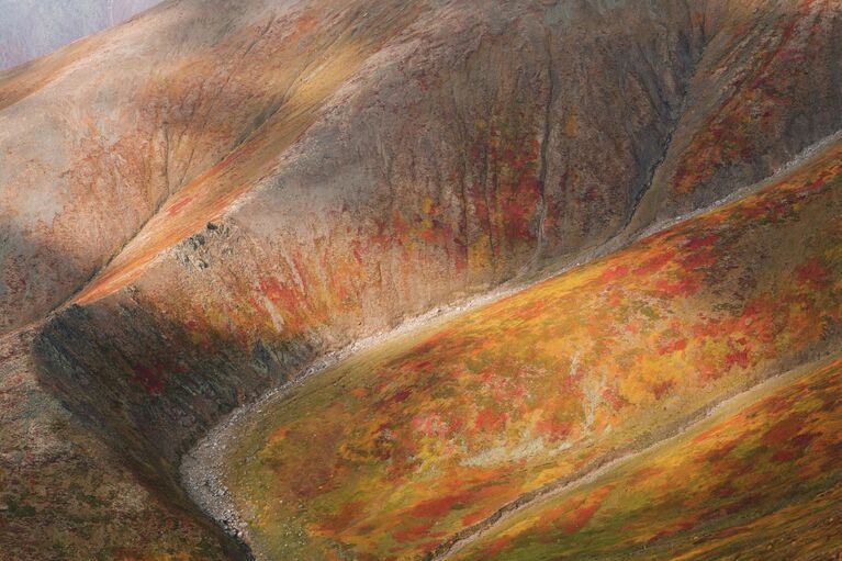 Фотографии, от которых захватывает дух. Необычные кадры природы России