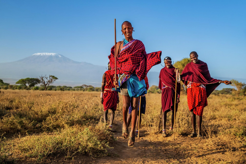 Мечтая об Африке: что и за какую цену можно посмотреть на континенте