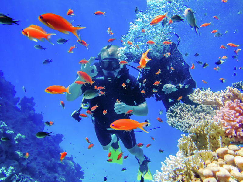 Пляж — за полцены: где дешево отдохнуть на море зимой