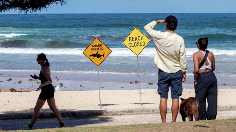 "Прямо возле берега". СМИ раскрыли, с чем столкнулись россияне в Египте