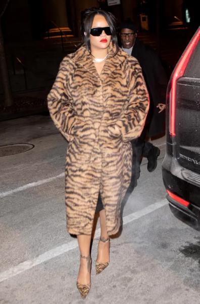 Провал или стильно? Разбираем, как Рианна носит мех