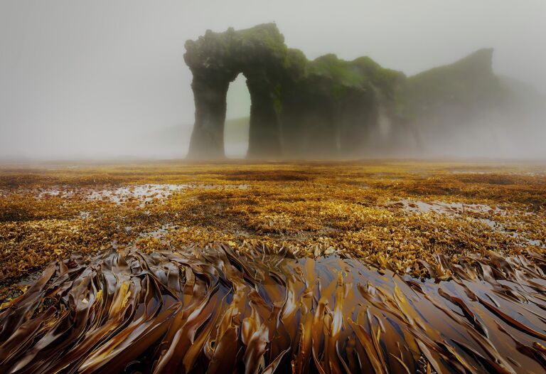 Уникальное северное сияние и загадочные арки. Самые красивые пейзажи России