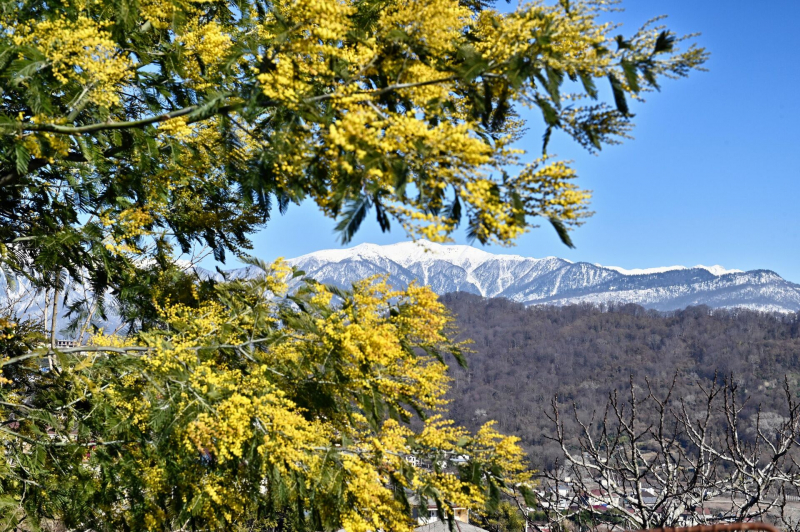 Куда поехать на 8 Марта: самые популярные и атмосферные места России