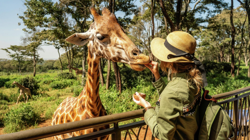 На курорт — за полцены: как выгодно купить путевку в Турцию
