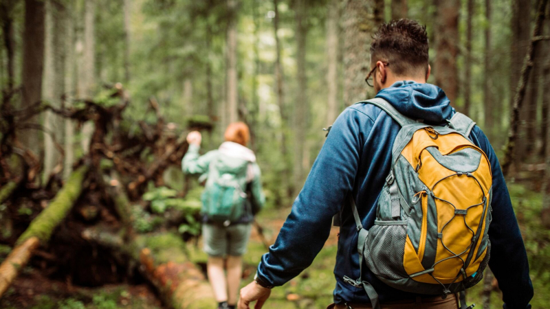 Названы самые популярные малые города для туризма в России