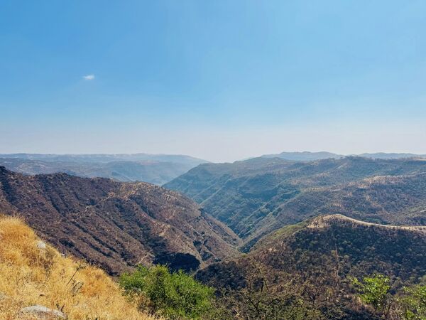 Оманские Мальдивы по цене Египта. Чем удивит россиян курорт Салала