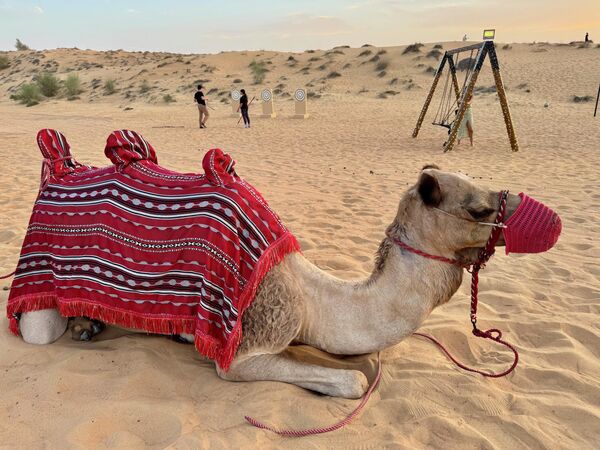 Отдых в Дубае: чем еще удивит город будущего