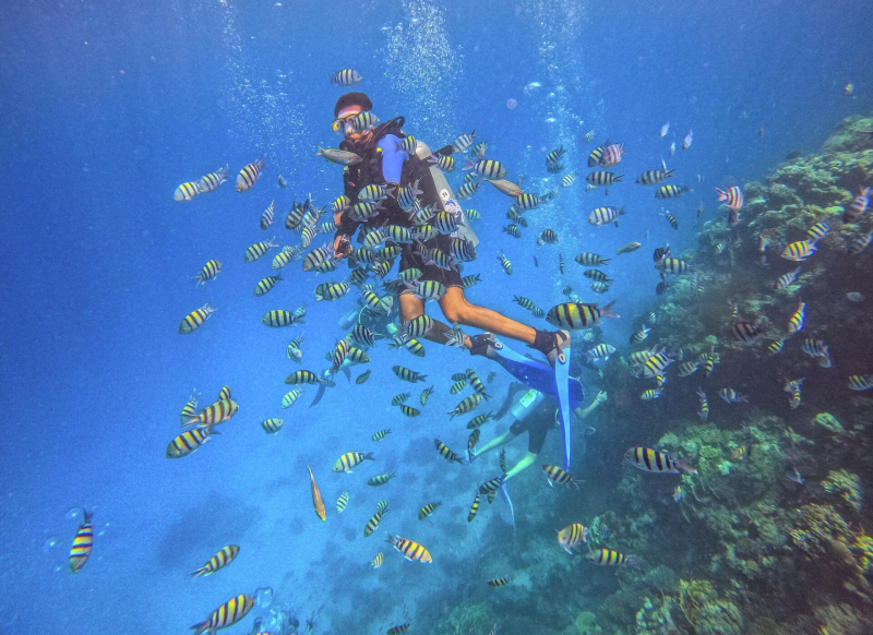 Хургада вместо Дубая. Египет стал главной альтернативой Ближнему Востоку