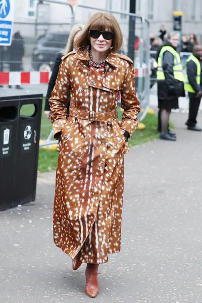 Как носить бемби-принт &ndash; самую милую фишку весны-2026