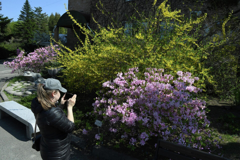 Лучшие майские: как с удовольствием провести короткие каникулы