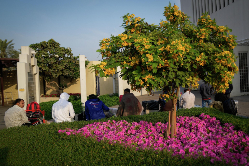 Нас выселяют. Как россияне возвращаются c Ближнего Востока