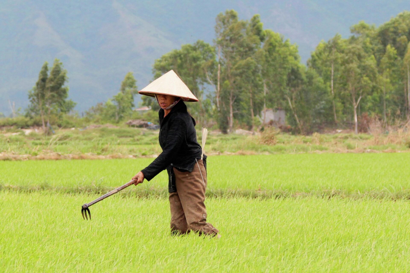 Пляжи, чартеры и приятные цены: гид по курортам Вьетнама