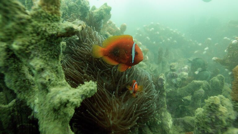 Пляжи, чартеры и приятные цены: гид по курортам Вьетнама
